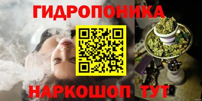 дурь Камышлов