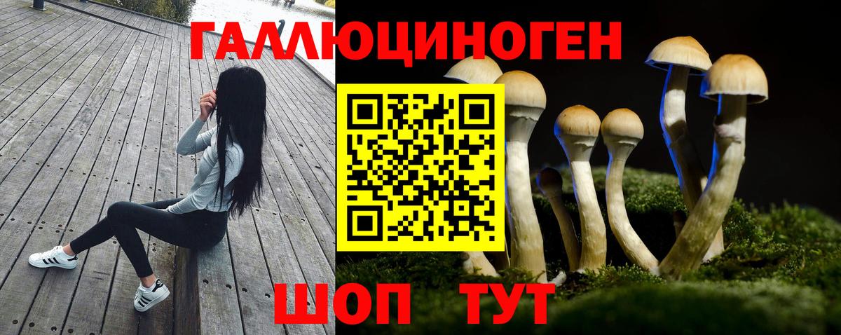 Благовещенск  Псилоцибиновые грибы Psilocybe  Псилоцибиновые грибы MAGIC MUSHROOMS  Вход с VPN 