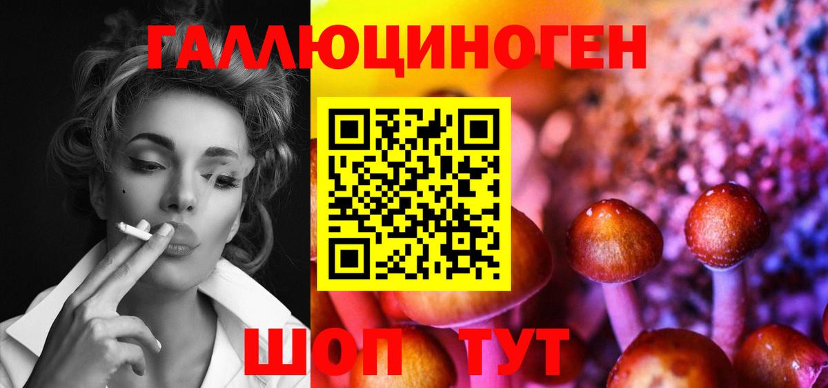 Галлюциногенные грибы мицелий Благовещенск